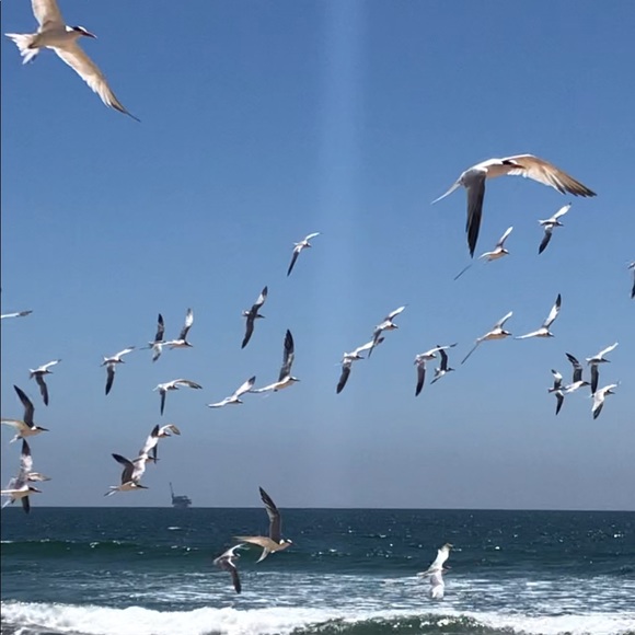 Welcome - Picture 2 of 14